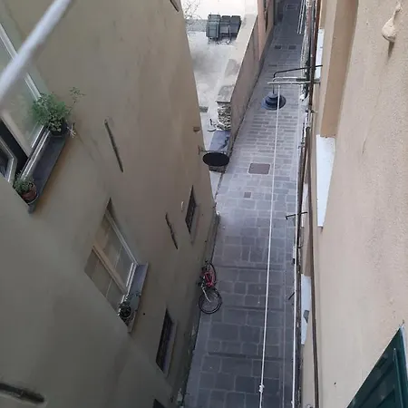 Cozy Coccagna